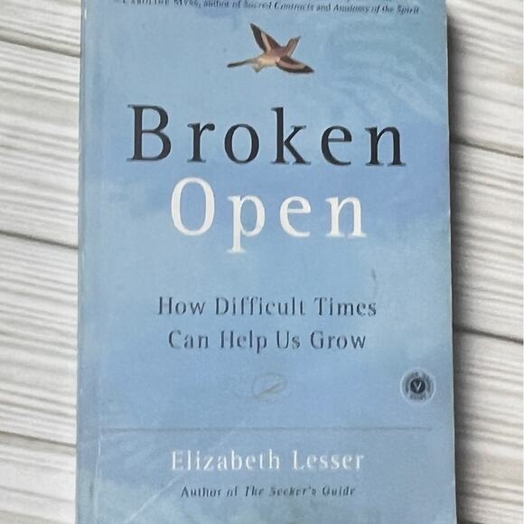 BROKEN OPEN Self Development Book Written by Elizabeth Lesser - Picture 3 of 6